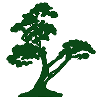 Bay Area Tree Care